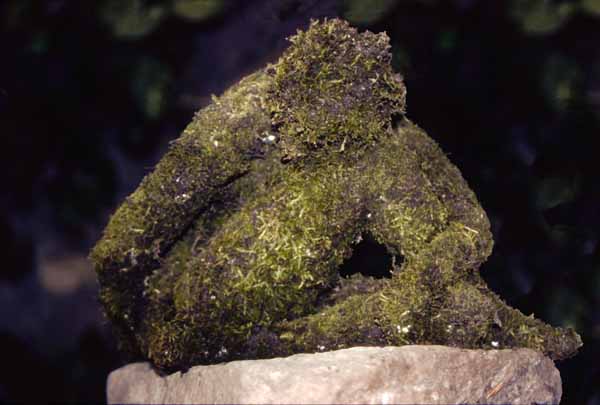 Sculpted figure in paperclay and moss Zoras Garden Lore Stephan