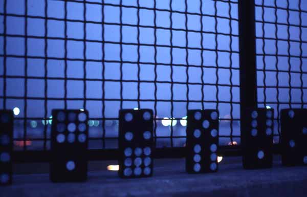 Installation A few thoughts on people and numbers Zoras Garden Lore Stephan