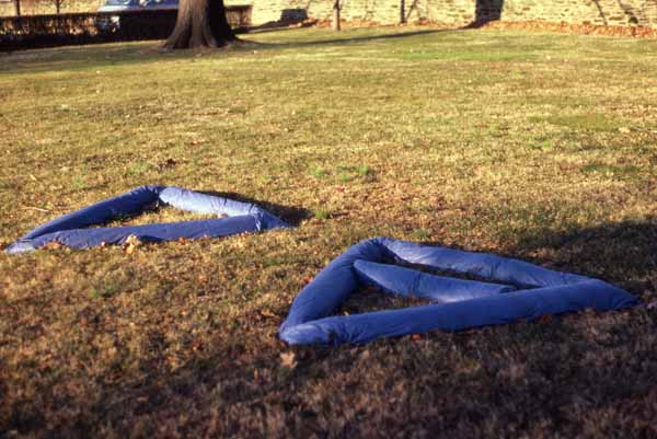 Elements Zoras Garden Lore Stephan