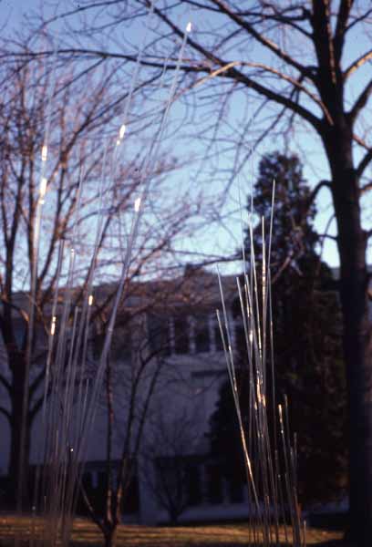 Twirling Walkway Zoras Garden Lore Stephan