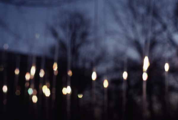 Twirling Walkway Zoras Garden Lore Stephan